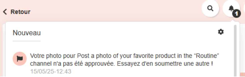 FREN - Mission validation (AcceptDecline) (3).png